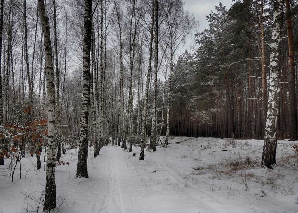 Photograph by Савоцкий Роман