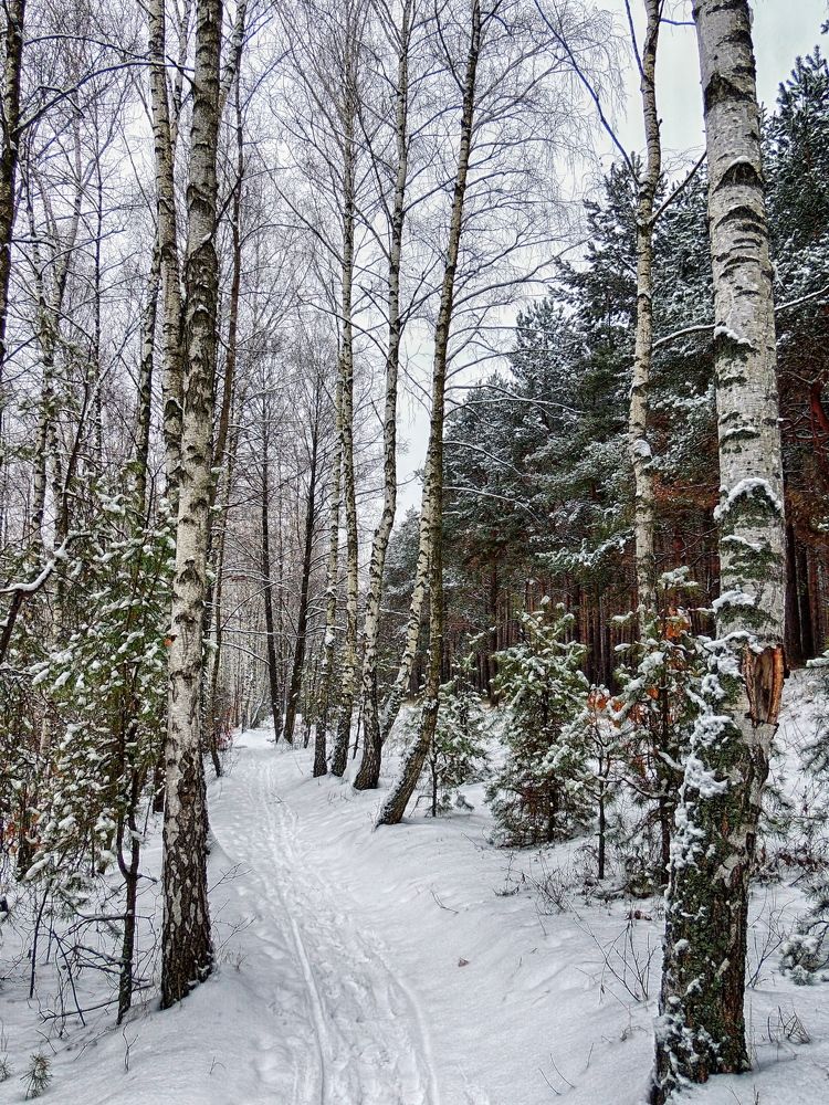 Photograph by Савоцкий Роман