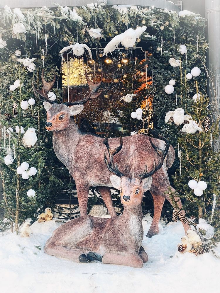 Фотография автора Nadezhda