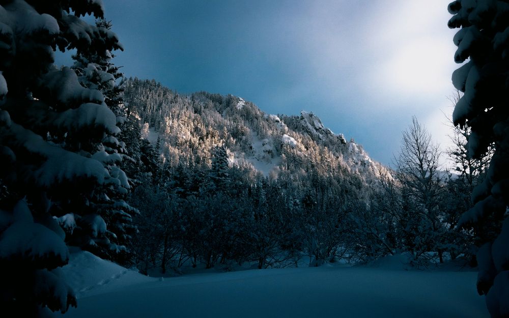 Фотография автора Илья Кантаков