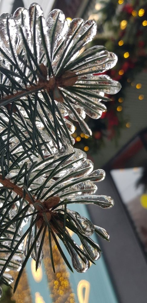 Фотография автора Ольга Мусина