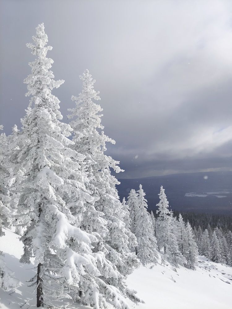 Photograph by Олег Васильев