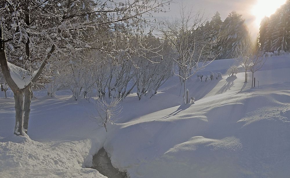 Фотография автора Александр
