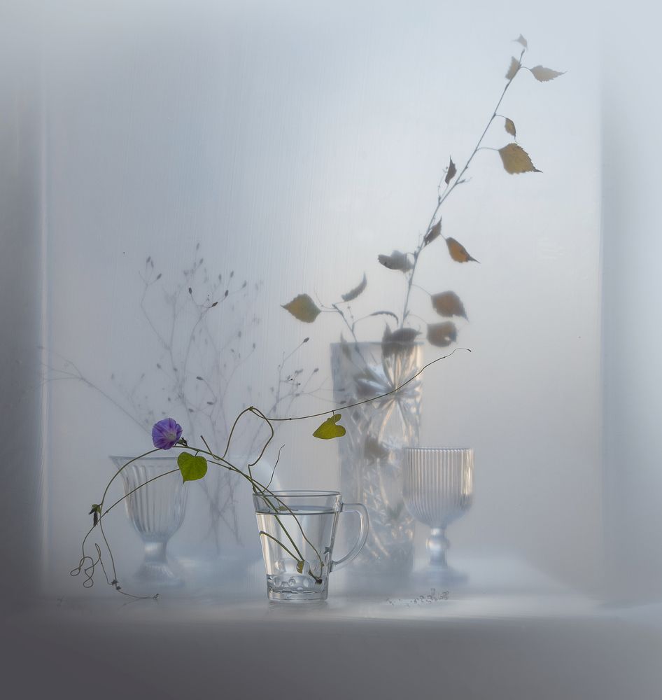 Photograph by Ирина Шипунова