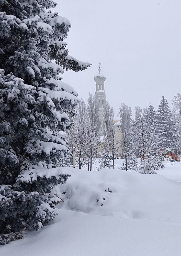 Photograph by Александра