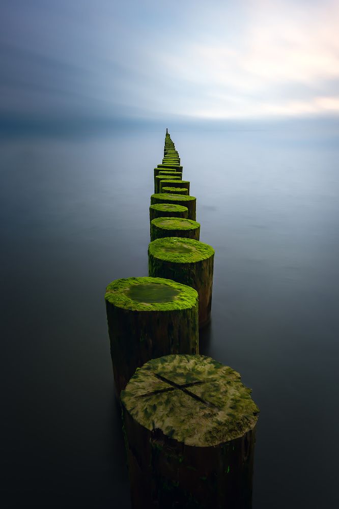 Photograph by Gabriel Jakab