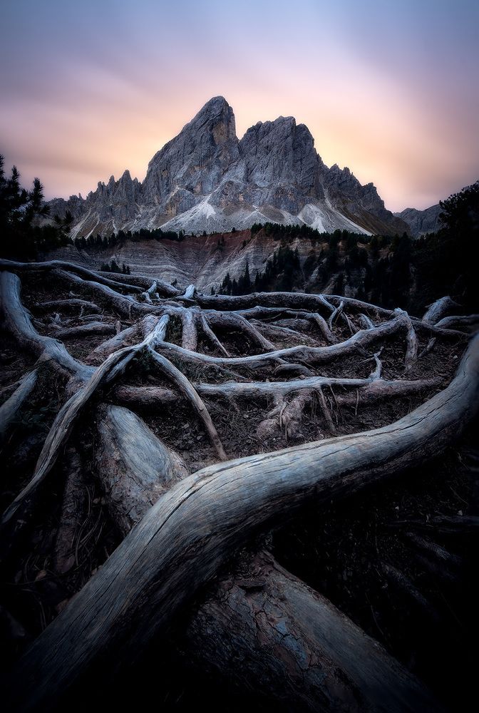 Photograph by Gabriel Jakab