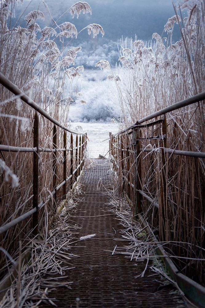 Photograph by Gabriel Jakab