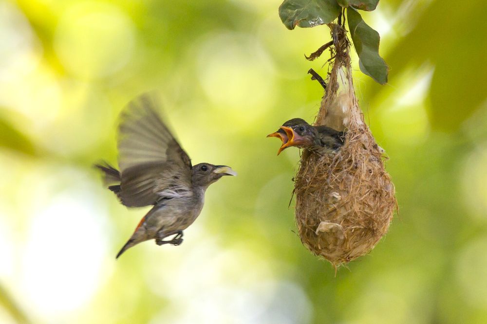 Photograph by HOANG MINH