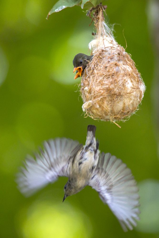 Photograph by HOANG MINH