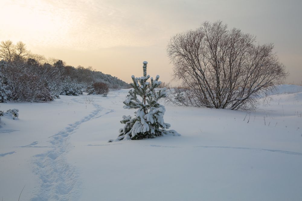 Photograph by Наталья Катюжанская