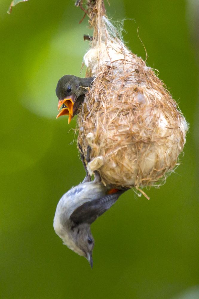 Photograph by HOANG MINH