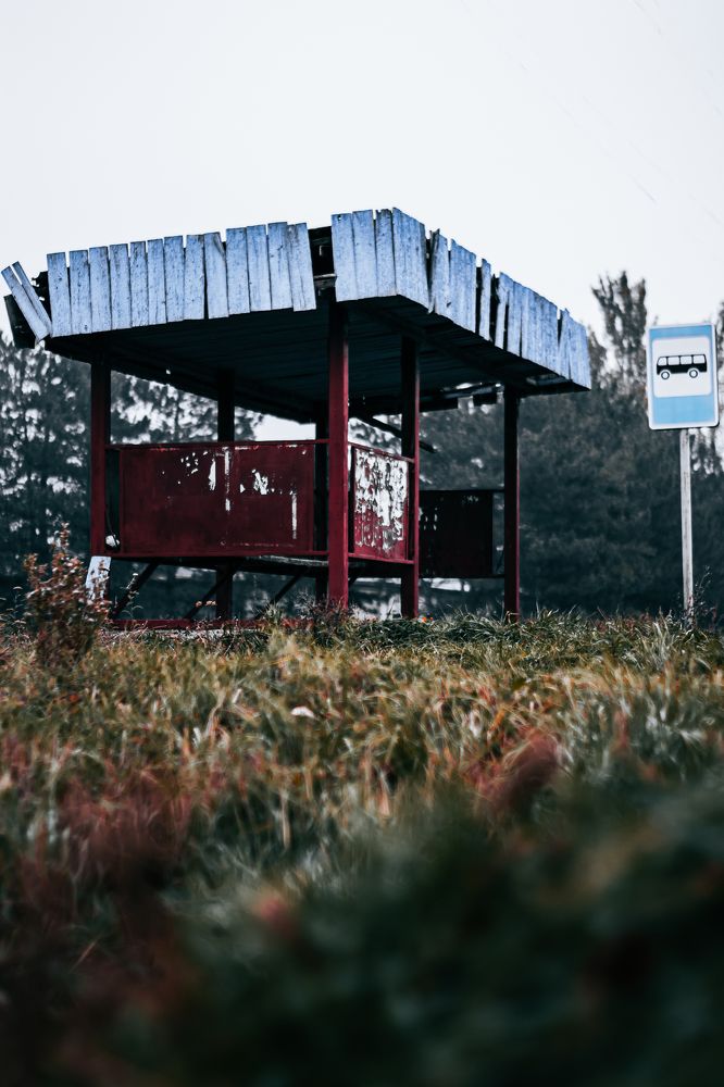 Фотография автора Victor_Miro