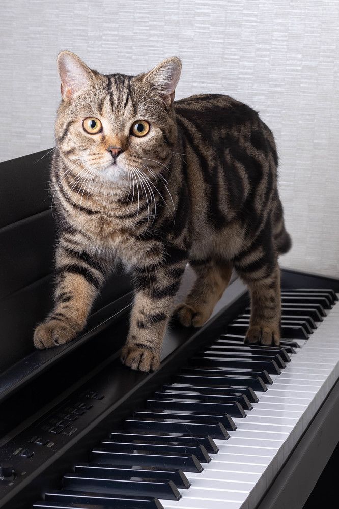 Photograph by Ирина Шафранская