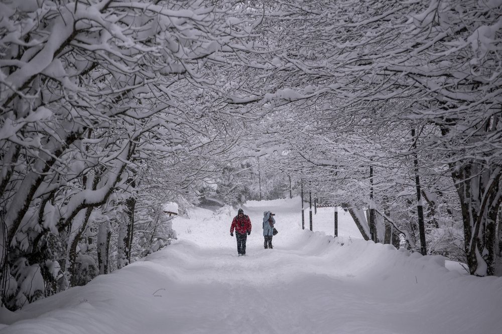 Photograph by MEHMET KAYNAR