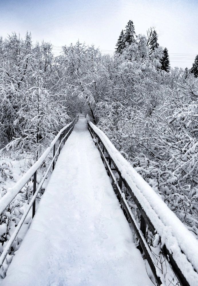 Photograph by Гульнара