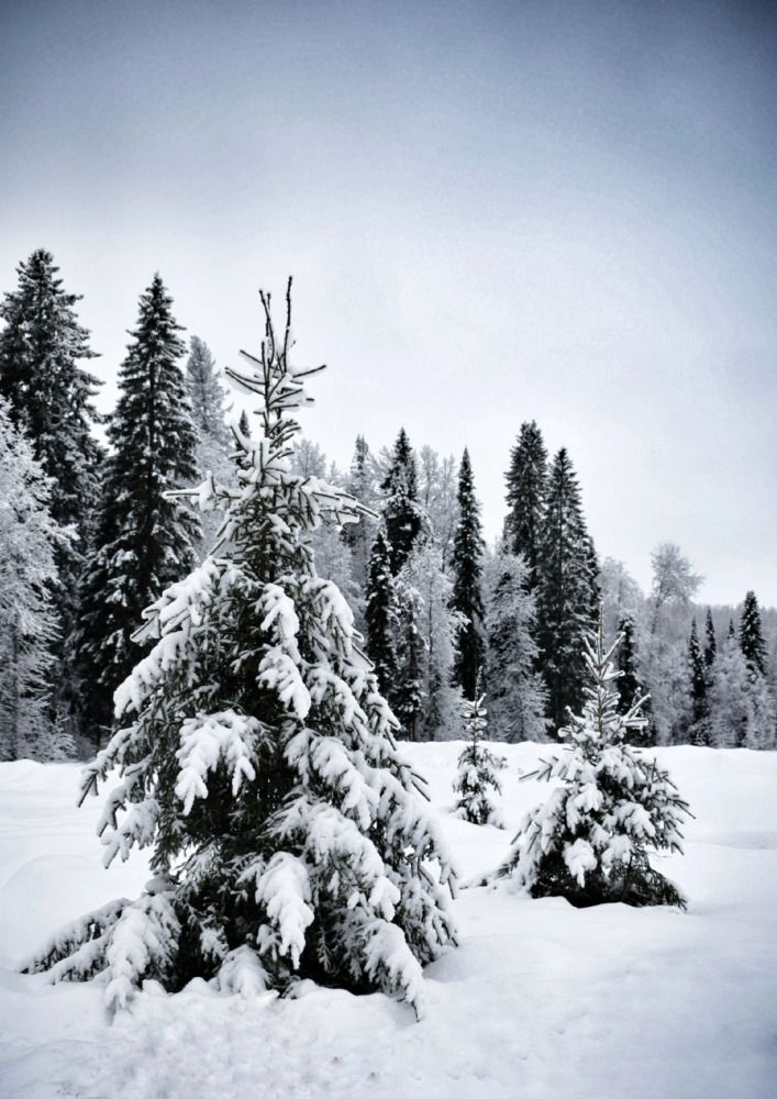 Photograph by Гульнара