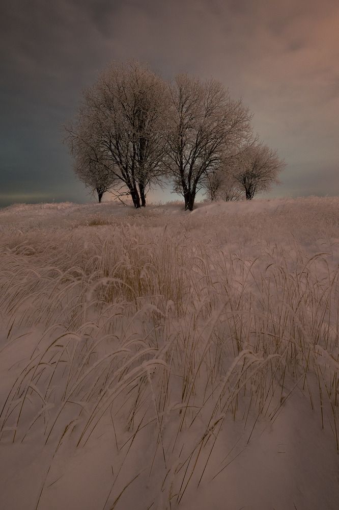 Photograph by Стрельцов Виталий