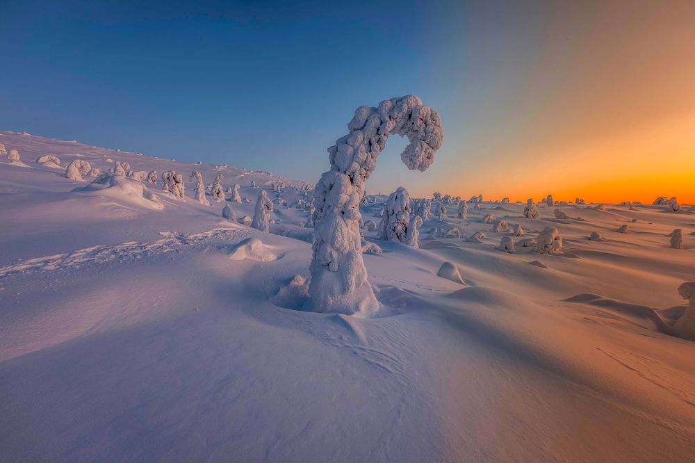 Photograph by Jose Pedrero Barrios