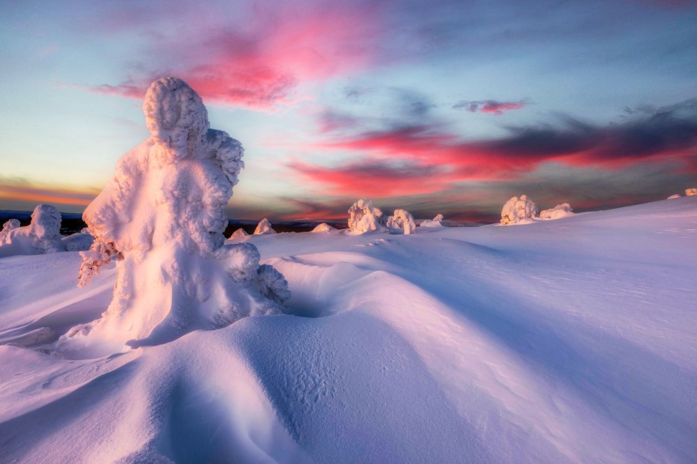 Photograph by Jose Pedrero Barrios