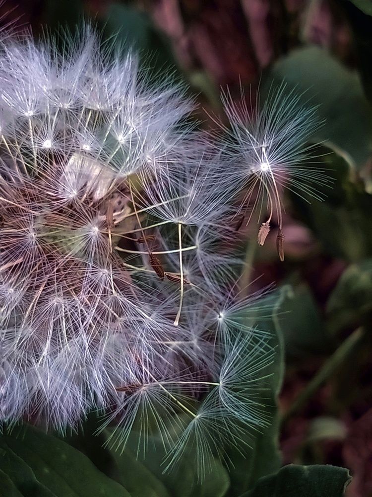 Быстротечность