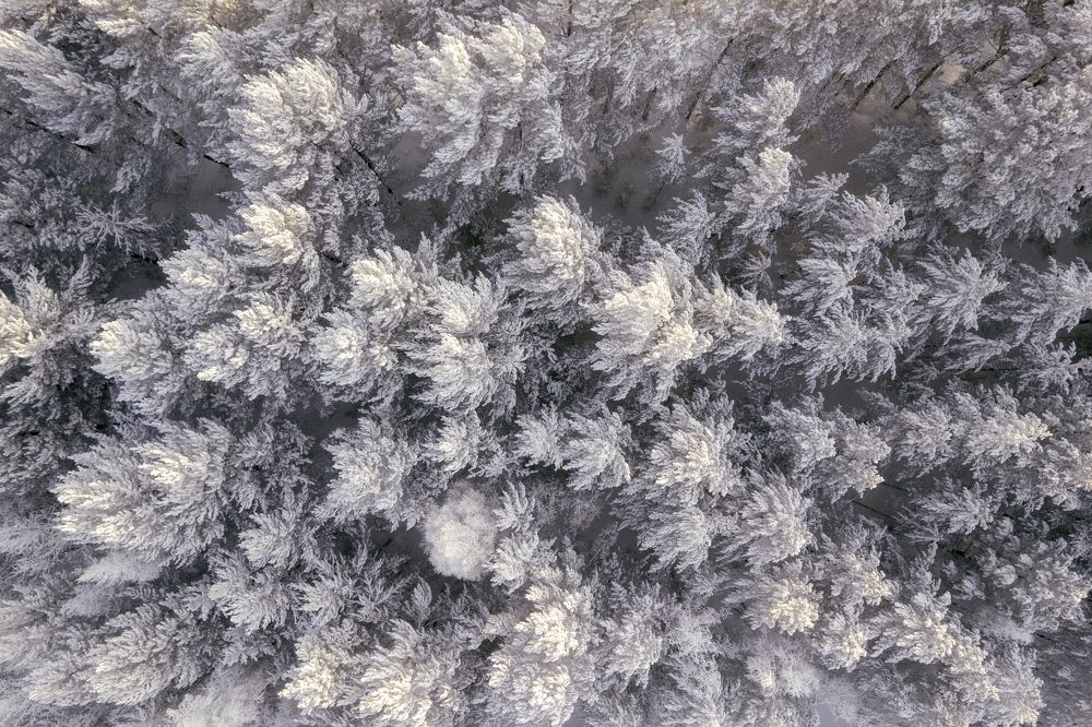 Photograph by Емельянов Саша