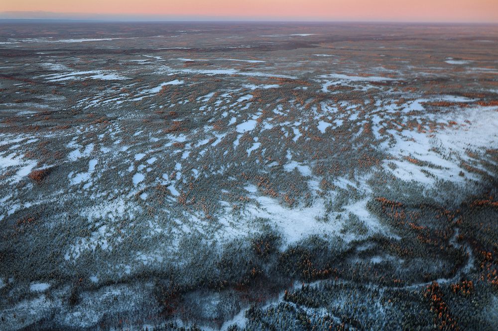 Photograph by Елена Брынько