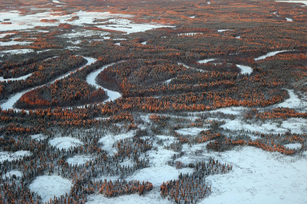 Photograph by Елена Брынько