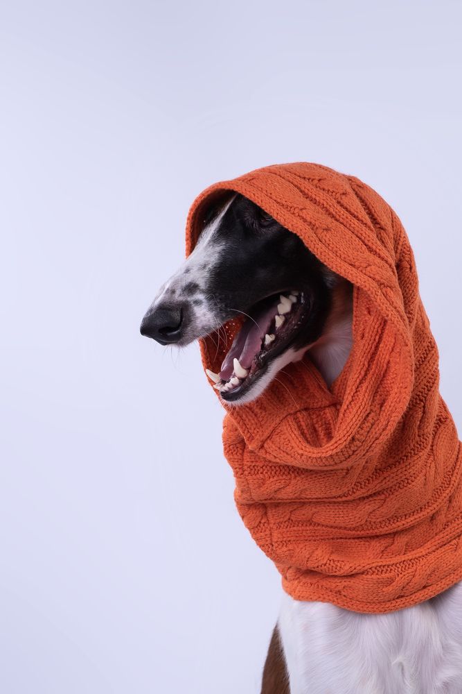 Photograph by наталья залогина