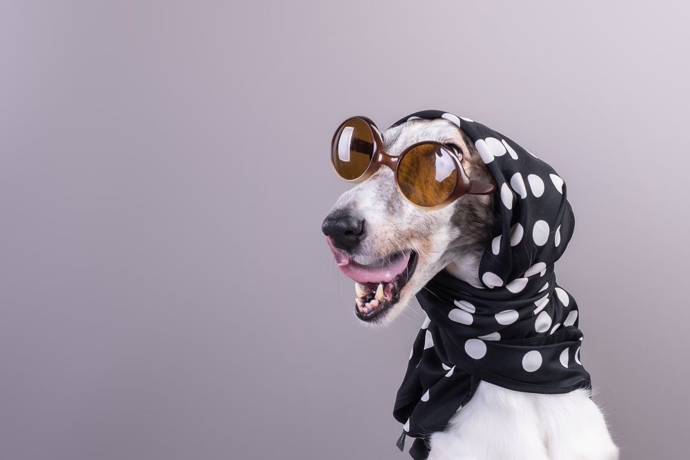 Photograph by наталья залогина