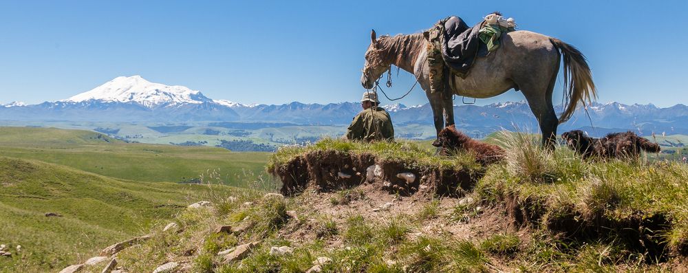 Фотография автора Владимир Кривенко