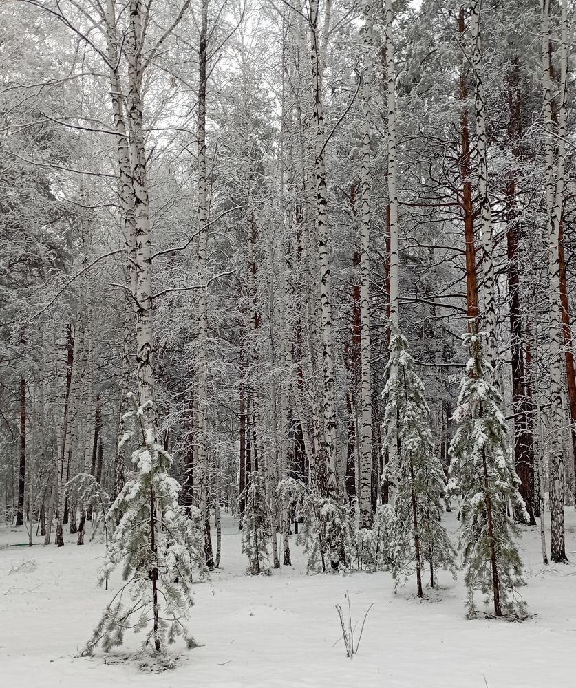 Photograph by Баженова Наталья