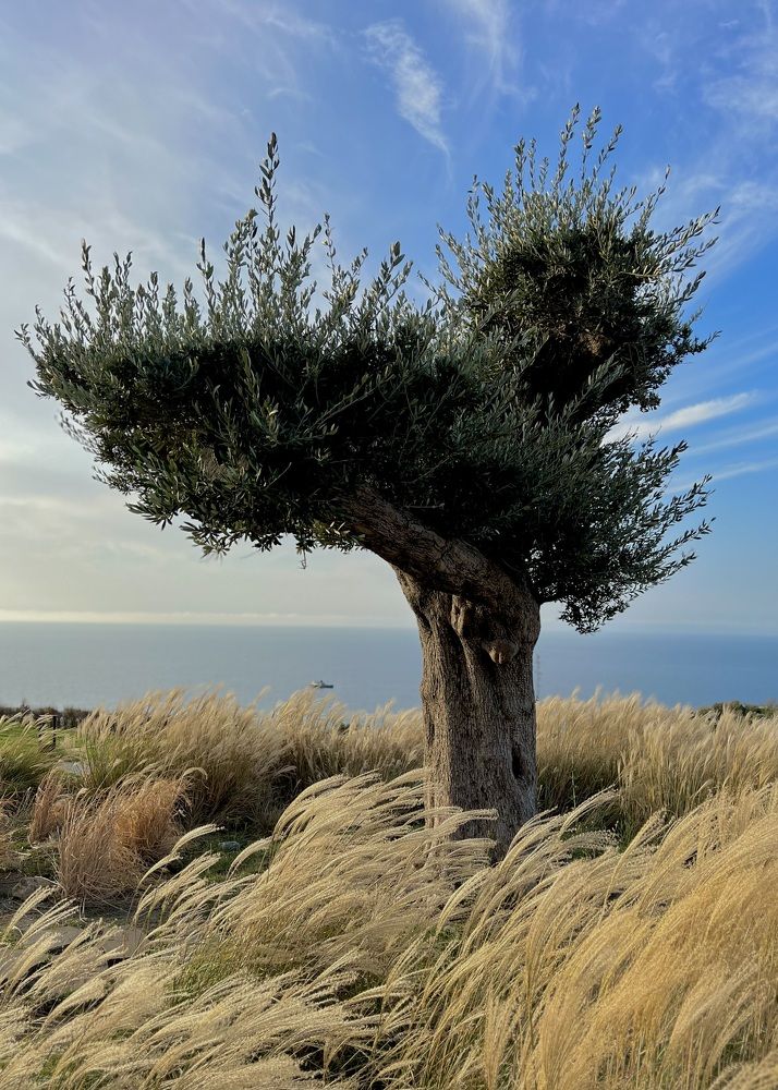 Необъятная моя Россия