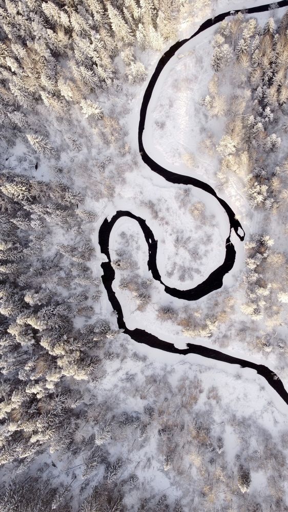 Photograph by Valeria D