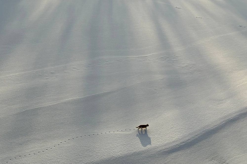 Photograph by Арина