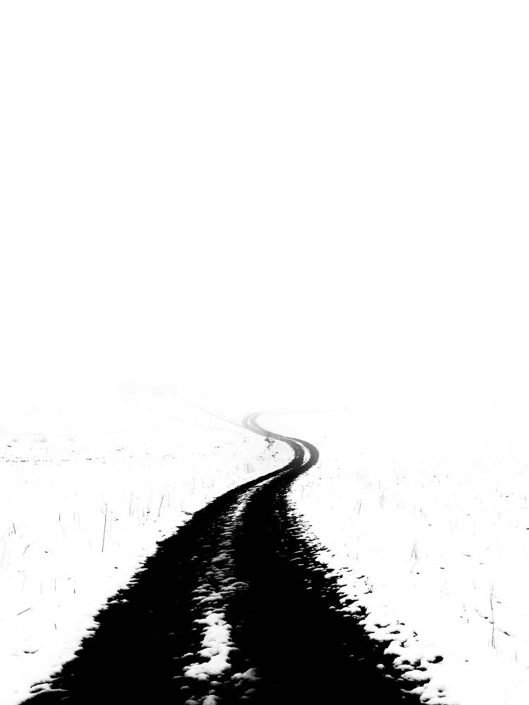 Photograph by Payam Habibi