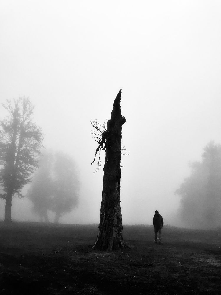 Photo #10002414