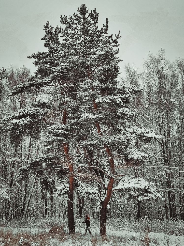 Photograph by Олеся Хижко