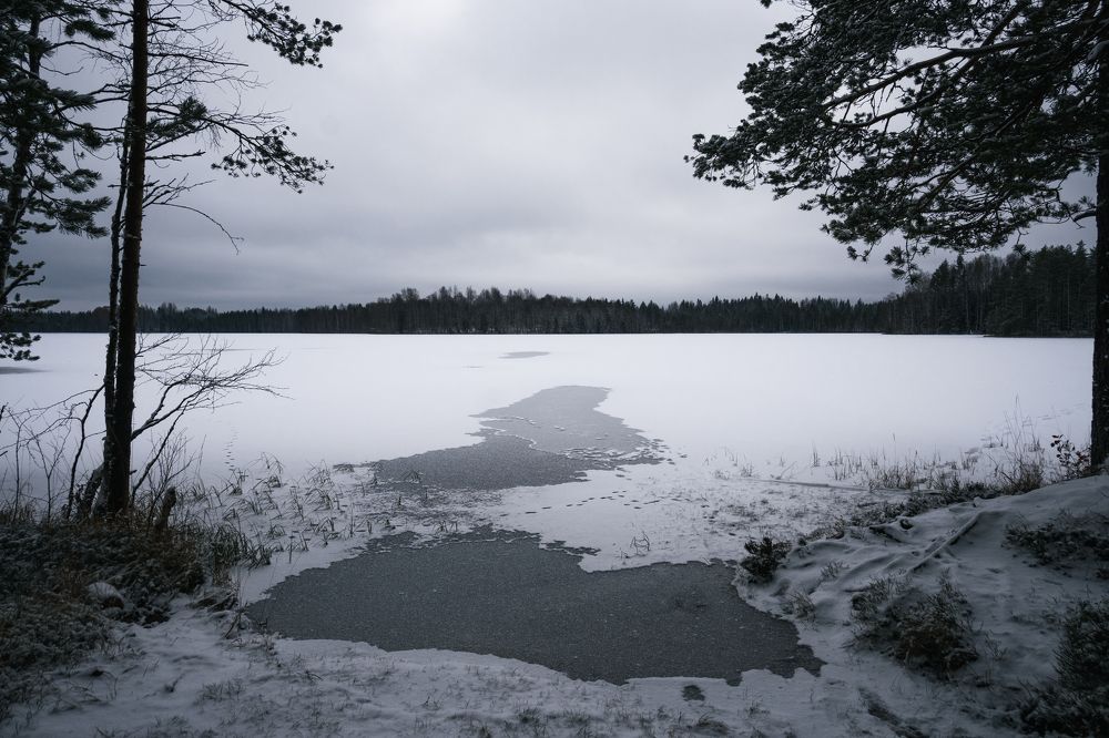 Photograph by Александр Устинов