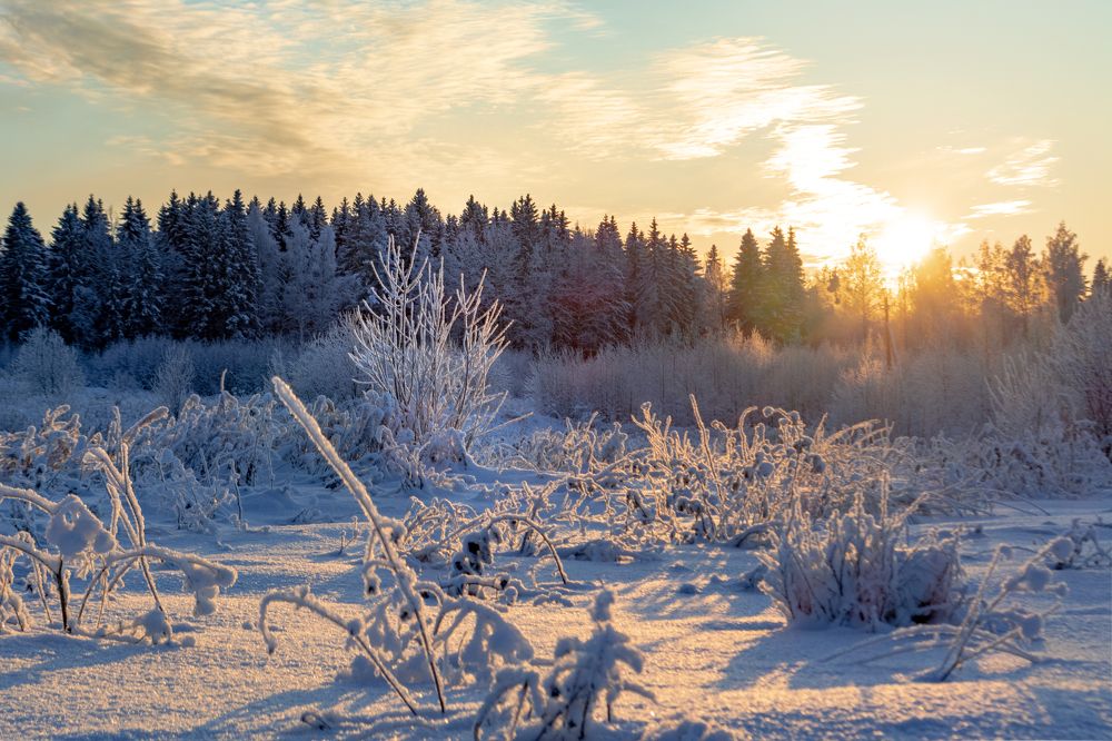 Photograph by Глеб Обуховский