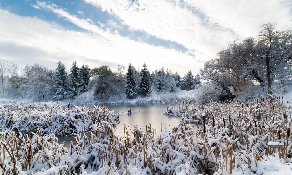 Фотография автора Oleg Suhenko