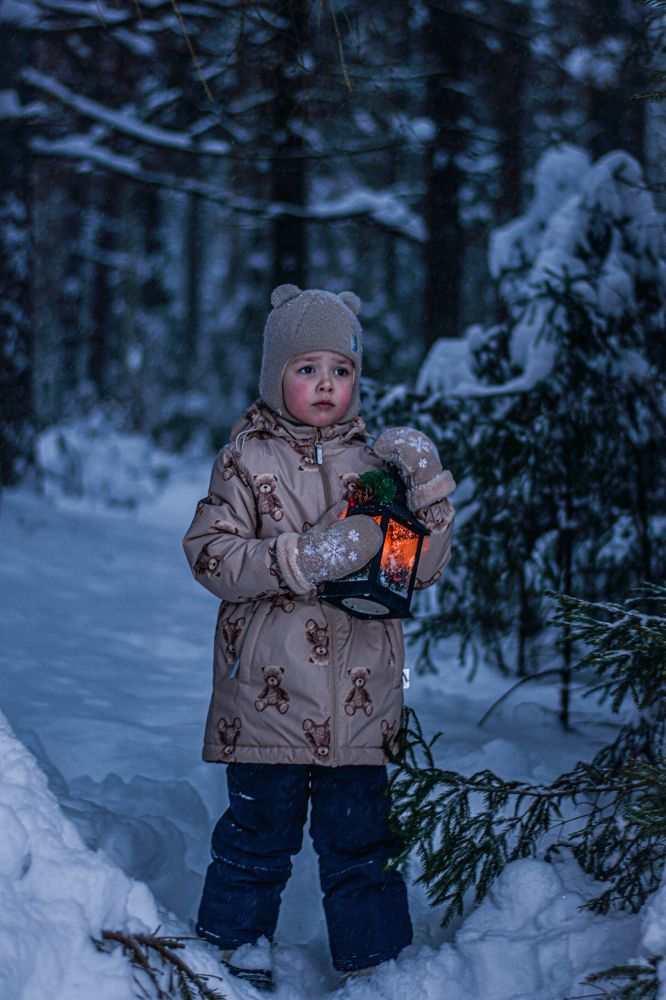 Фотография автора Андрей Красков