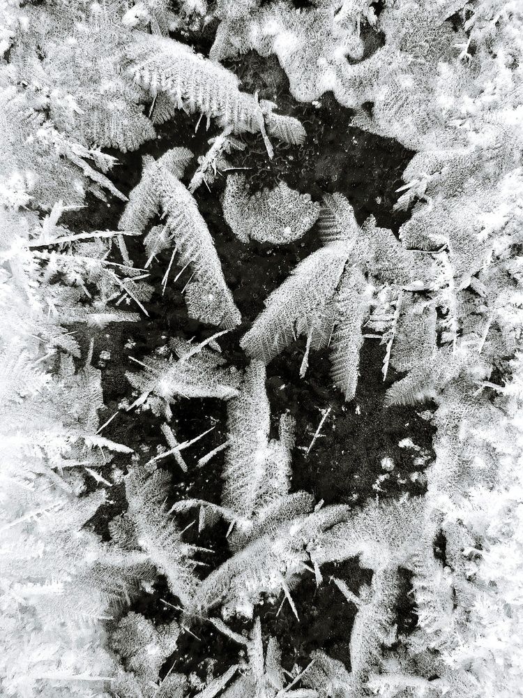 Photograph by Маннанова Ляйсан