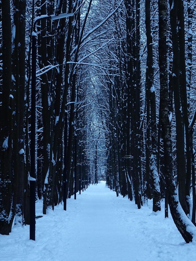 Photograph by Елена Харитонова