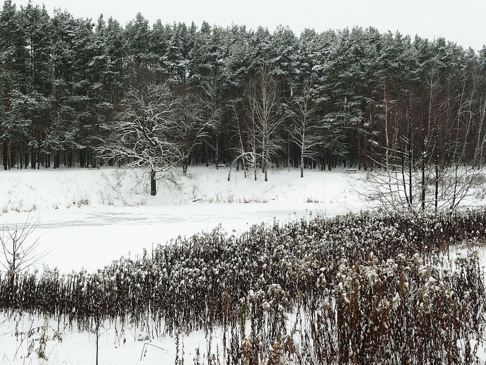 Photograph by Елена Харитонова