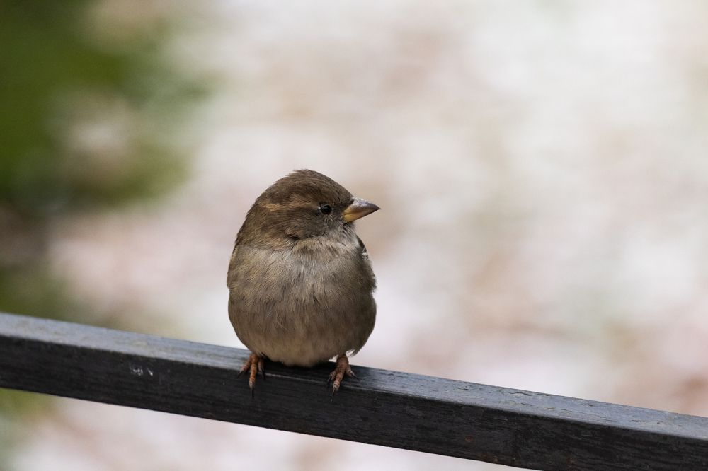 Photograph by Илья Кулаков