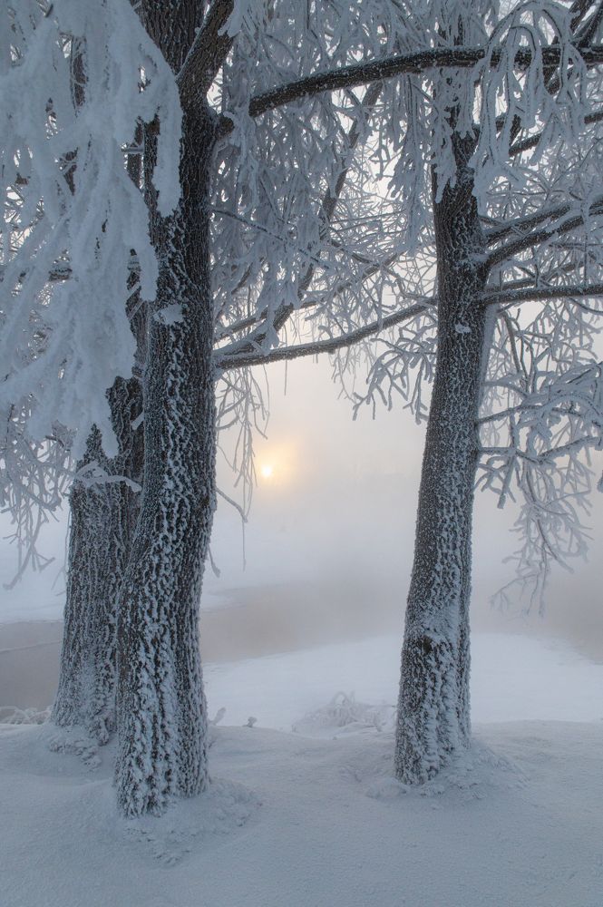 Photograph by Юрий Гау