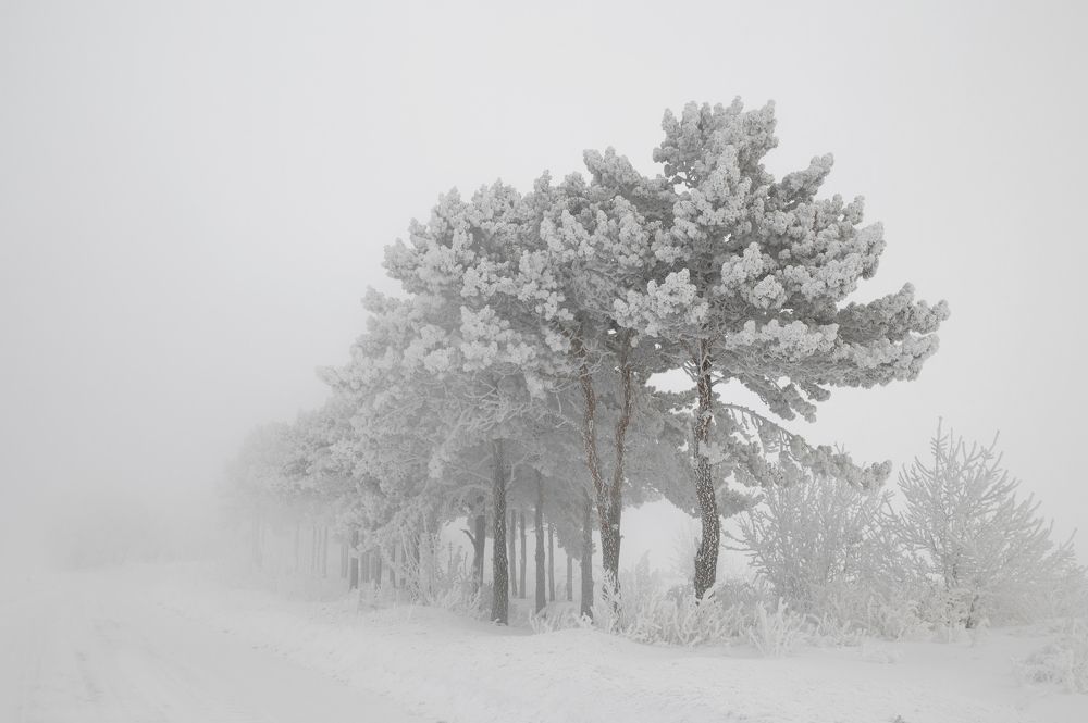 Photograph by Юрий Гау