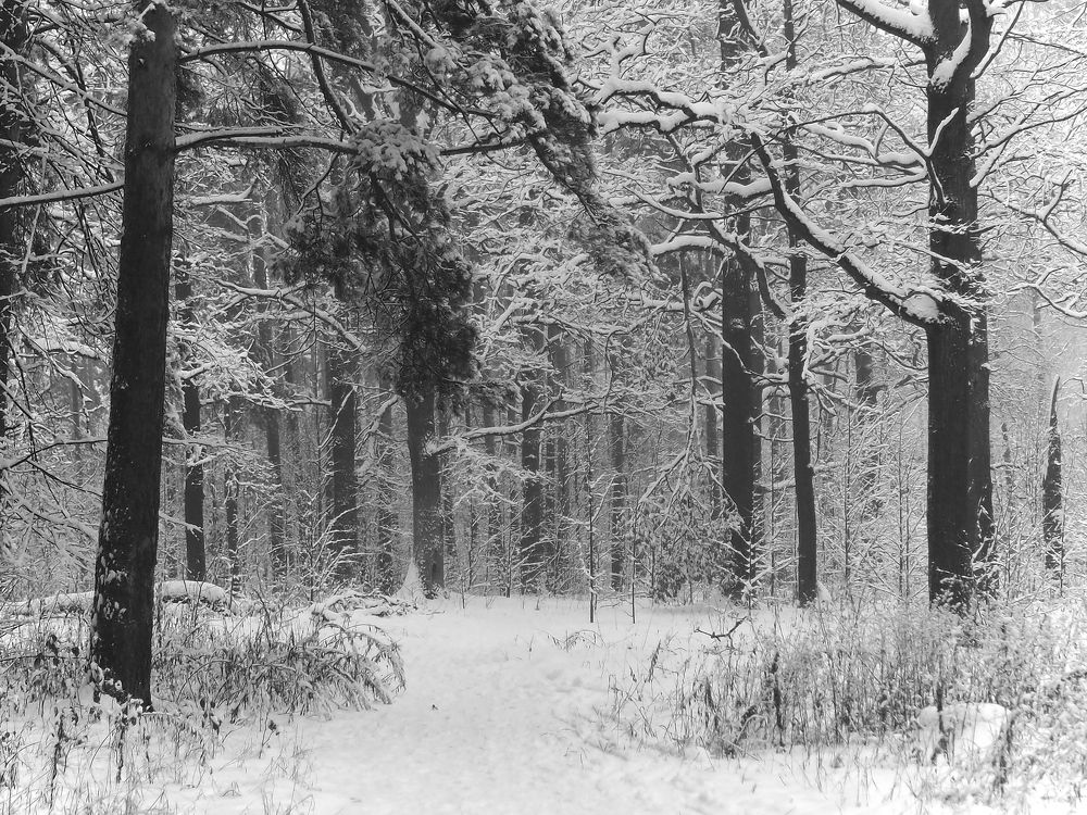 Photograph by Елена Харитонова