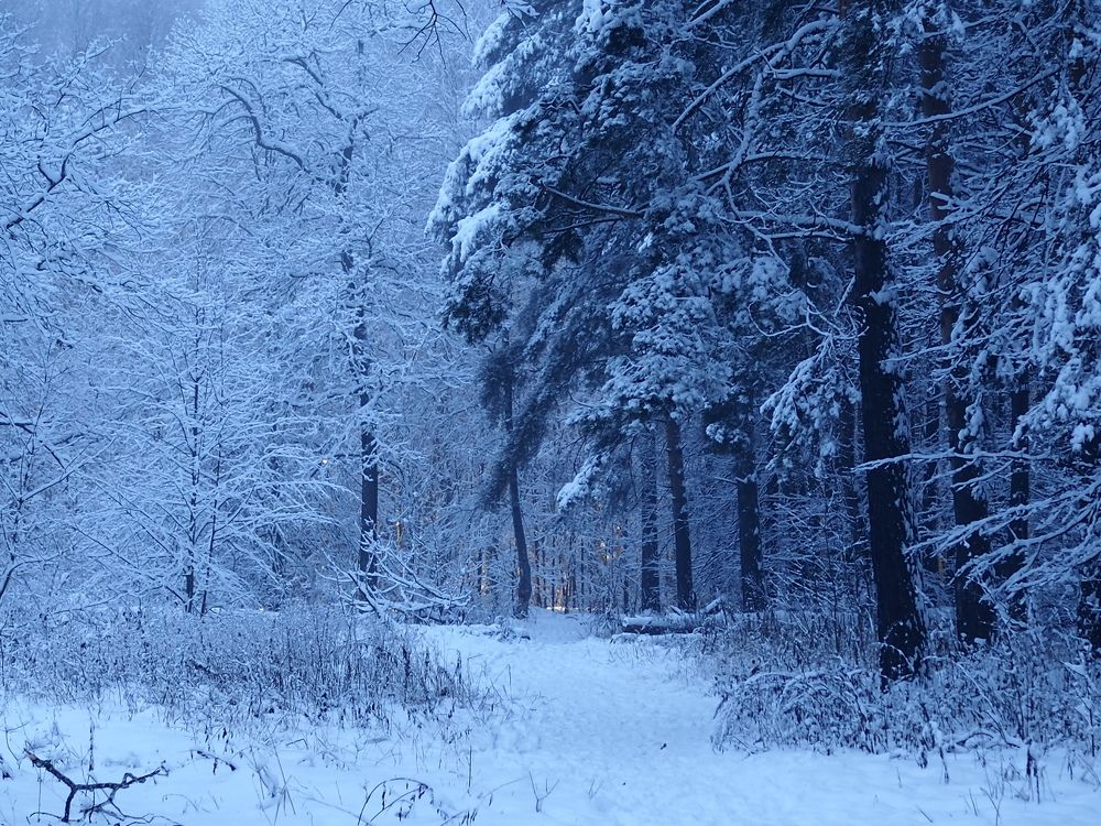 Photograph by Елена Харитонова